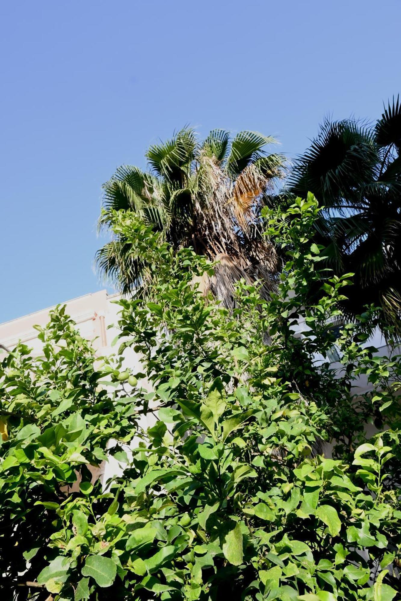 Fatata Suites Lecce Exterior photo